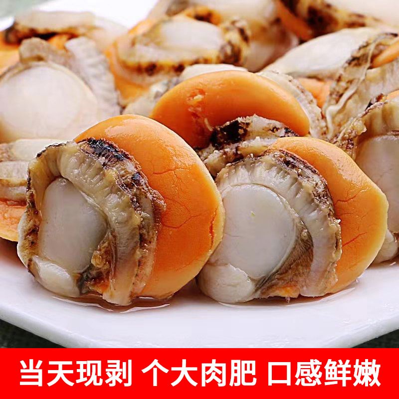 新鲜扇贝的选择与储存