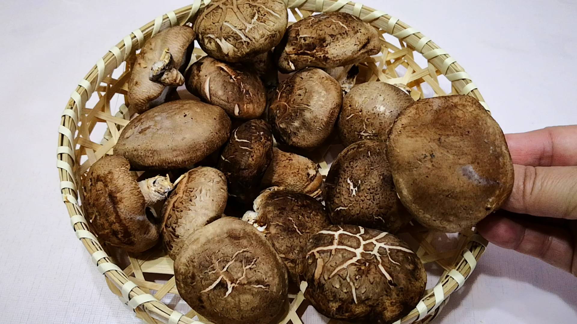 金年会官网:火锅中适合的香菇种类
