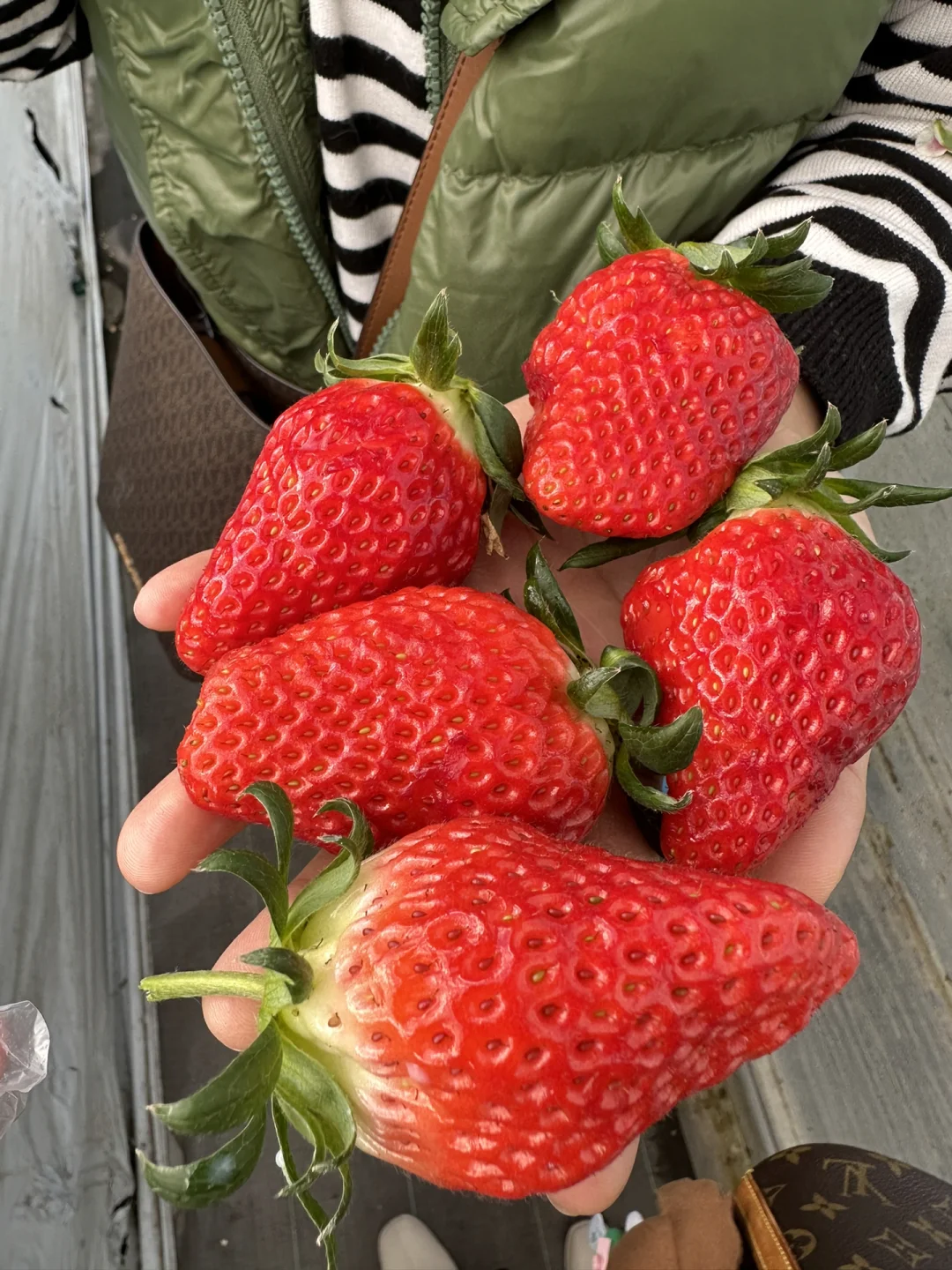 制作草莓焦糖塔时如何处理新鲜草莓